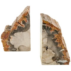 Exceptional Pair of Petrified Wood Bookends