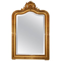 19th Century Louis XV Style Gilt Mirror with Hand-Carved Shell and Floral at Top 4