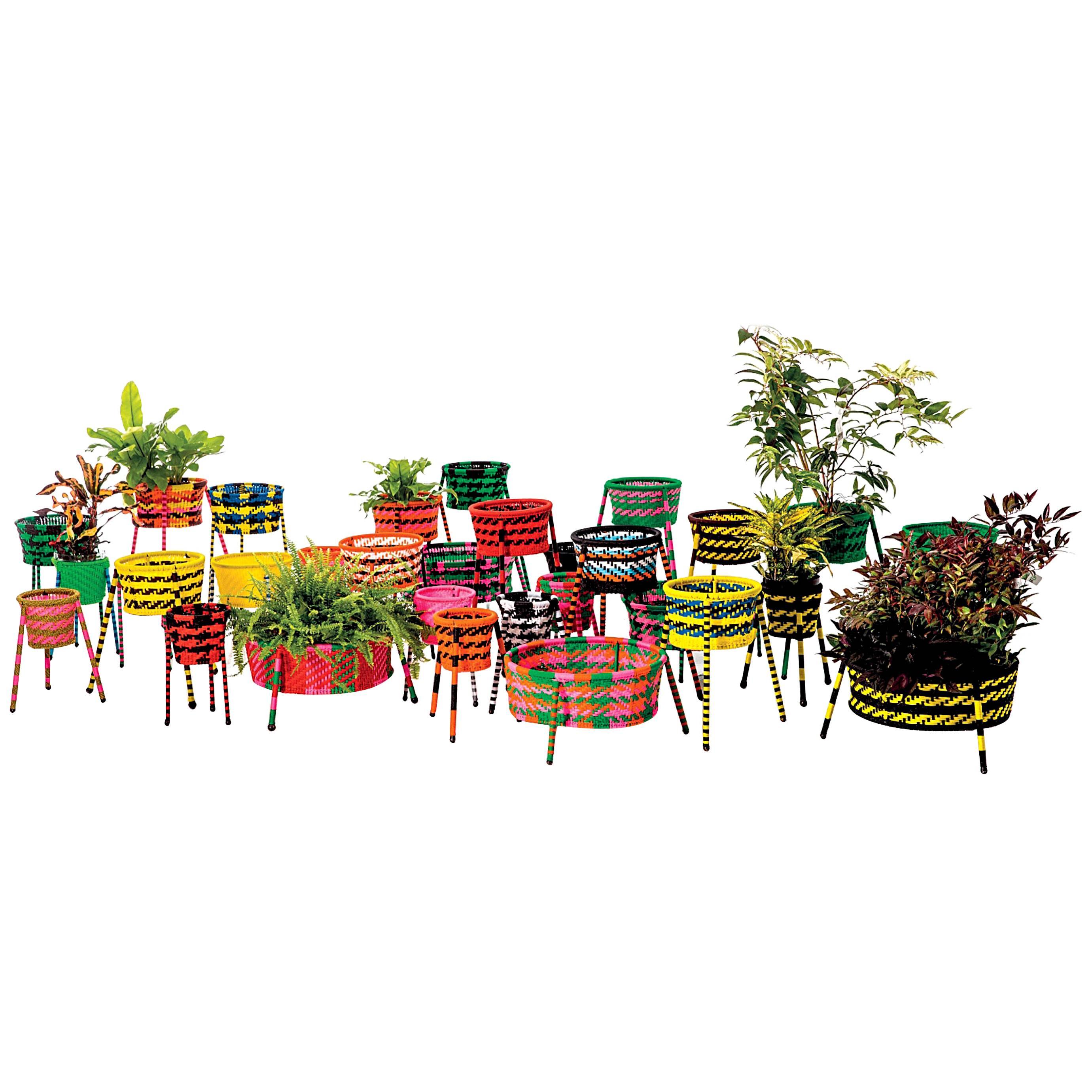 Jardin Suspendu Set of 4 Woven Baskets / Planters for Indoor and Outdoor For Sale