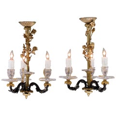 Pair of Small 19th Century French Louis XIV Bronze Dore Rock Crystal Chandeliers