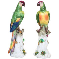 Massive Pair of Volkstedt Meissen Style Porcelain Macaw Parrots 6