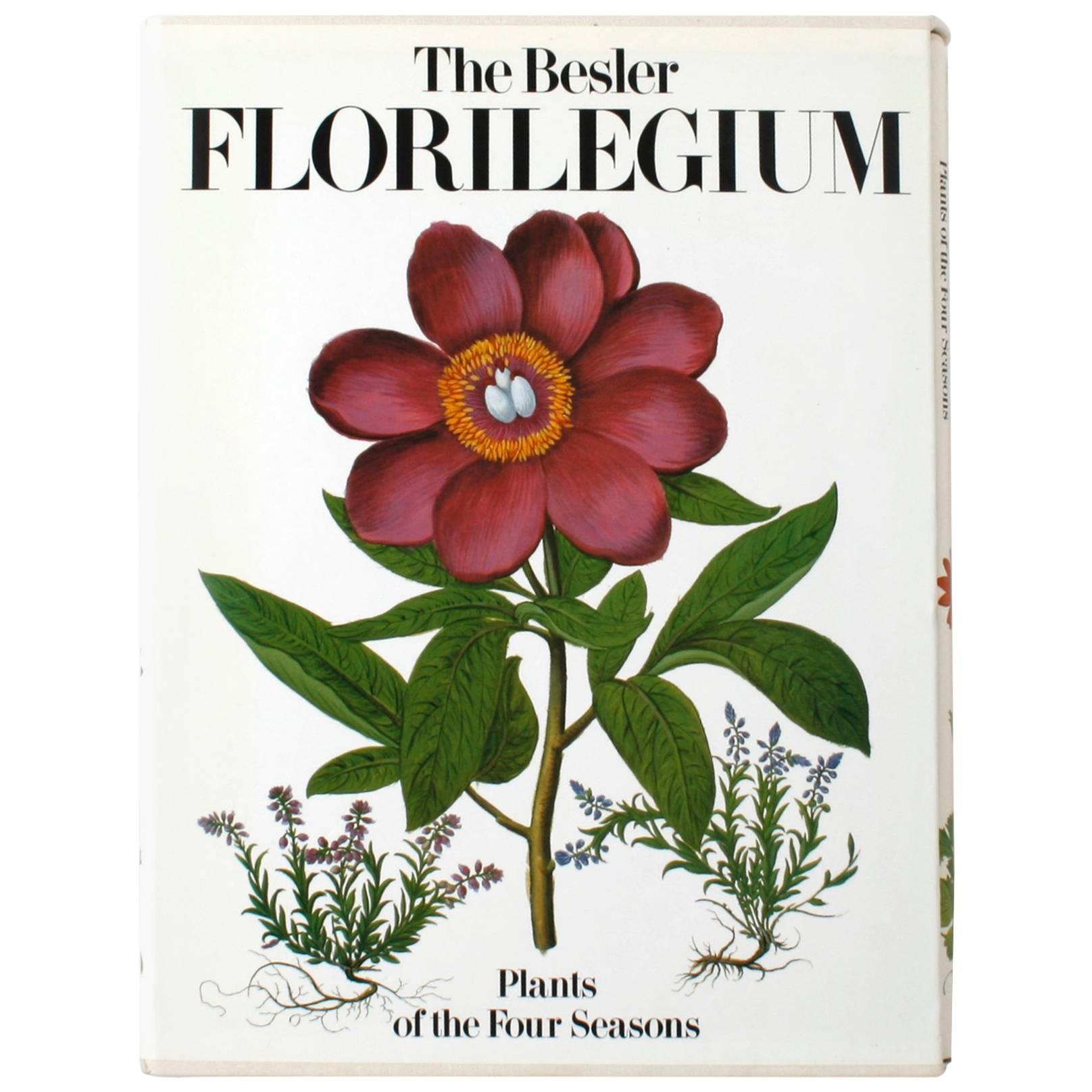 The Besler Florilegium: Plants of the Four Seasons, 1st Ed Thus
