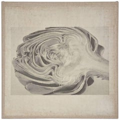 Contemporary Photograph of a Sliced Artichoke 7