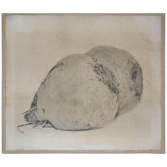 Contemporary Photograph of Red Beets 10