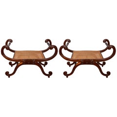 Pair of Regency Style Caned Curule Benches 9