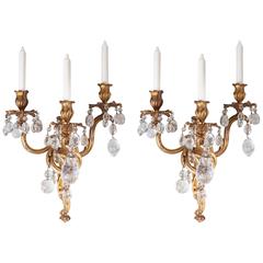 Pair of Louis XV Style Twin-Light Appliques