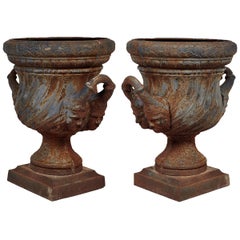 Antique 19th Century Pair of Iron Garden Urns