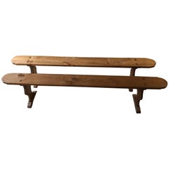 Pair of 19th Century Fruitwood Benches 7