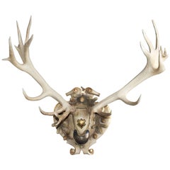 19th Century Habsburg Red Stag Trophy from Eckartsau Castle Austria with Gorget