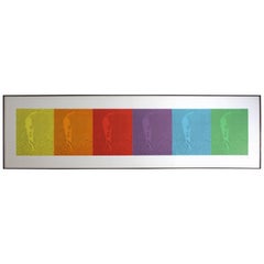 Ek/Spectrum I by Ellsworth Kelly 12 Color Lithograph