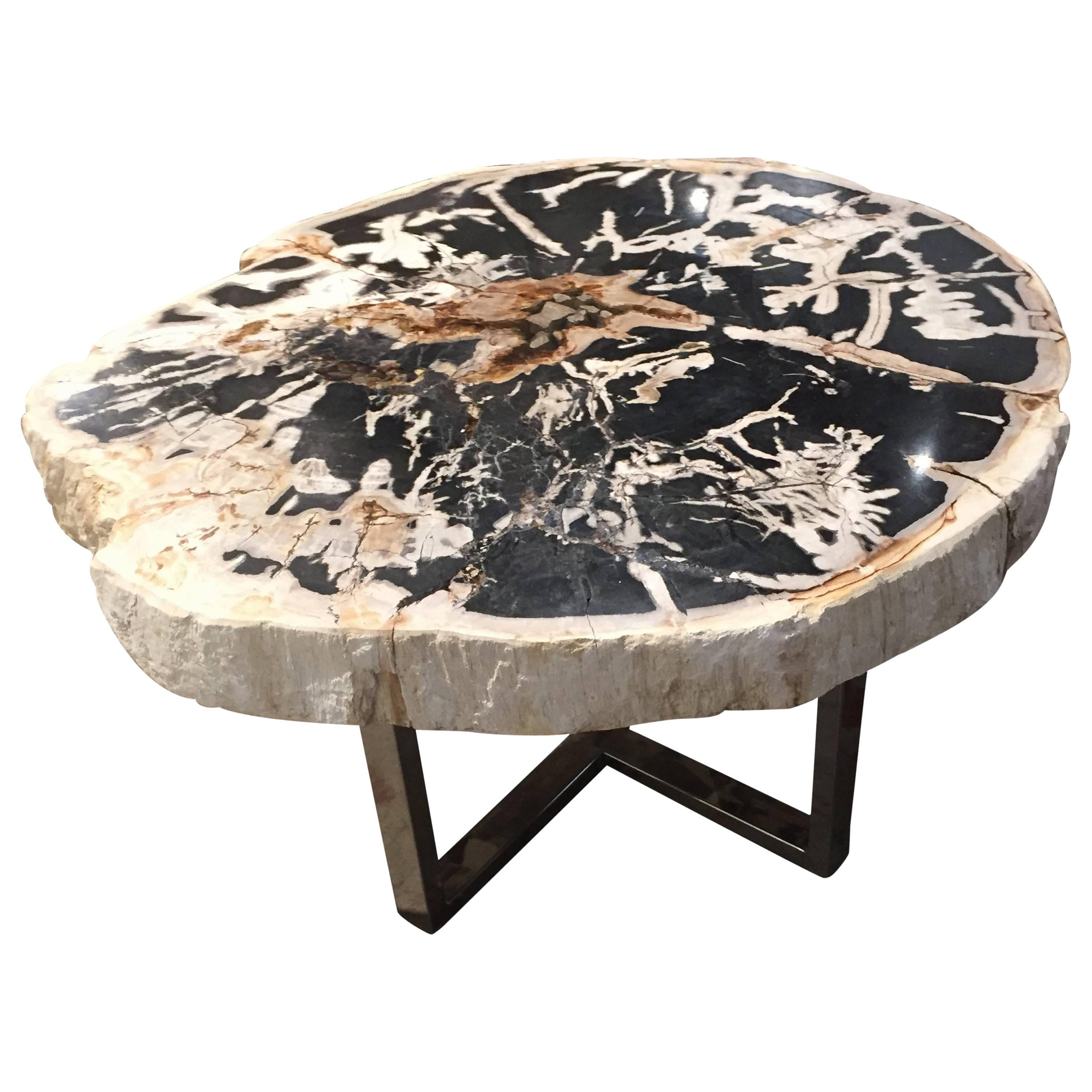 Petrified Wood Table Black and White Chrome Base