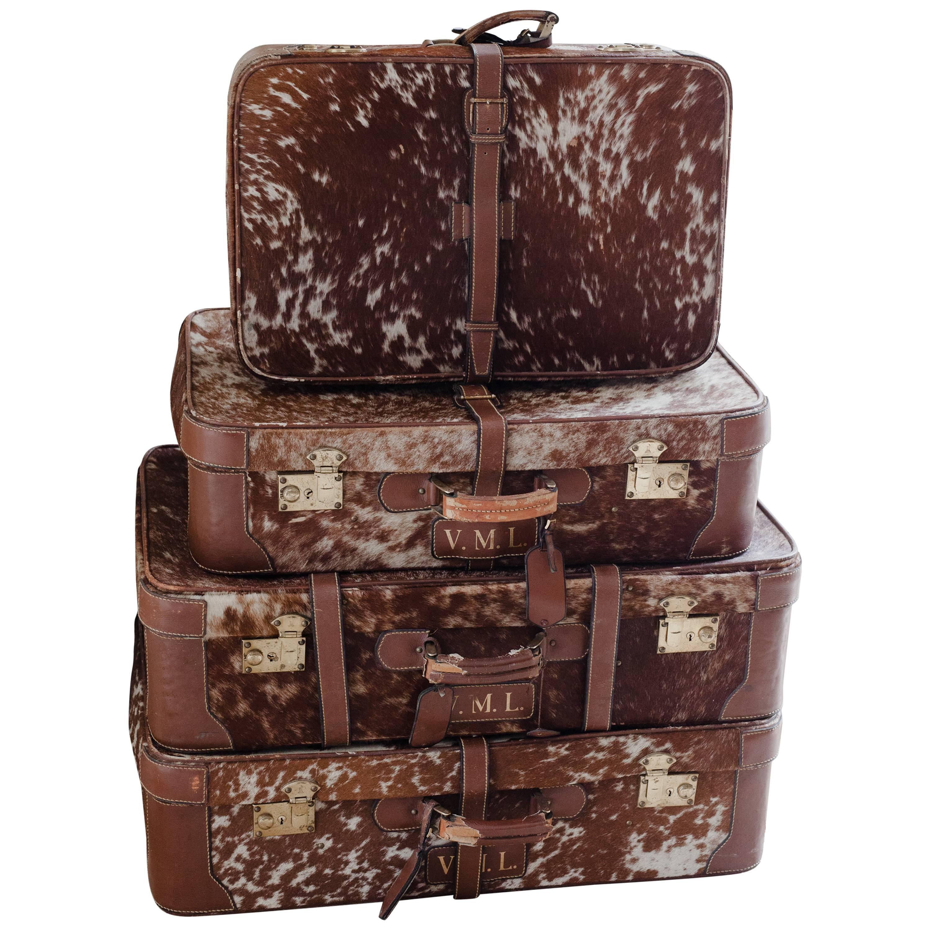 20th Century French Set of Four Suitcases, Leather and Ponyskin