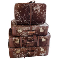 Vintage 20th Century French Set of Four Suitcases, Leather and Ponyskin