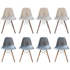 Eight Elephant Grey and Tan Herman Miller Eames Dining Chairs
