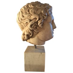 Marble Classical Head, Mid-20th Century