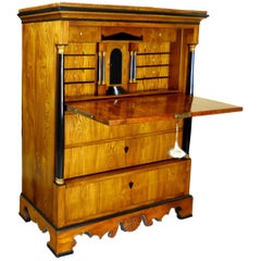 Secretaire a Abattant Biedermeier 19th Century Swedish Elm Karl Johan Period