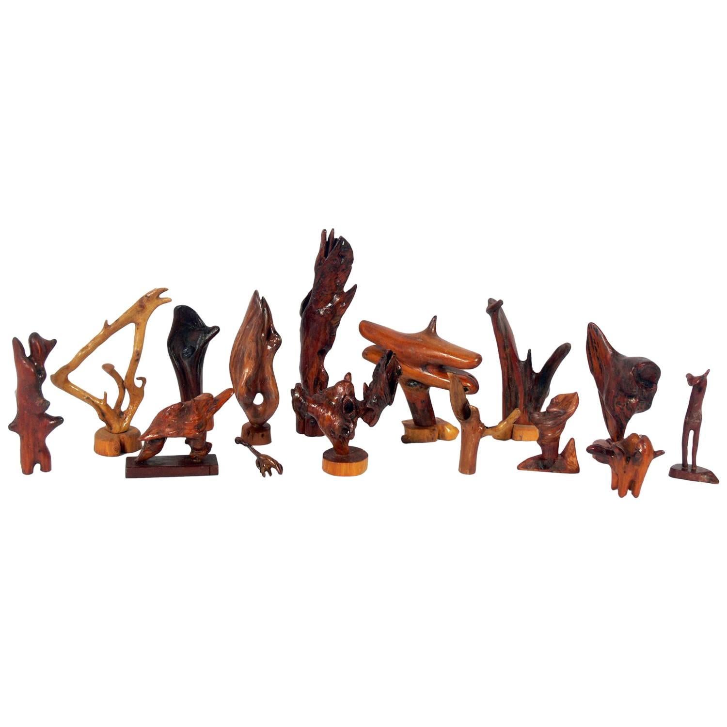 Collection of Sculptural Wood Roots