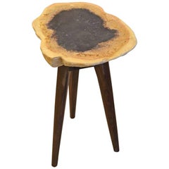 Palm Petrified Wood Side Table