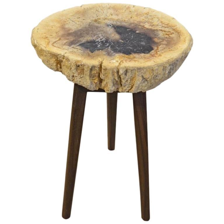 Andrianna Shamaris Palm Petrified Wood Side Table