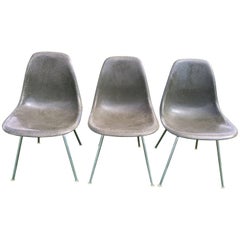 Charles Eames for Herman Miller Fiberglass Side Chairs in Grey 11