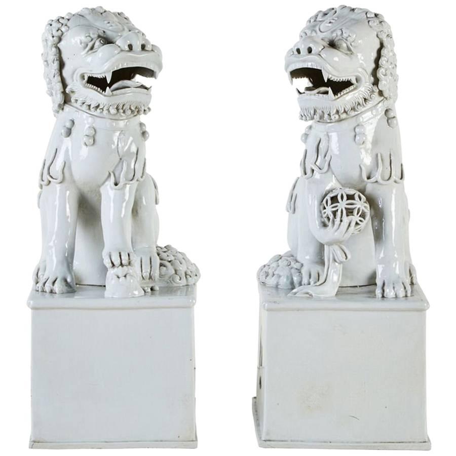 Blanc de Chine Foo Dogs