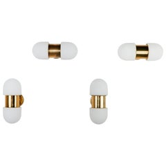 Four Brass and Glass Sconces by Sciolari 1