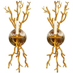 Pair of Gilt Faux Coral Sconces