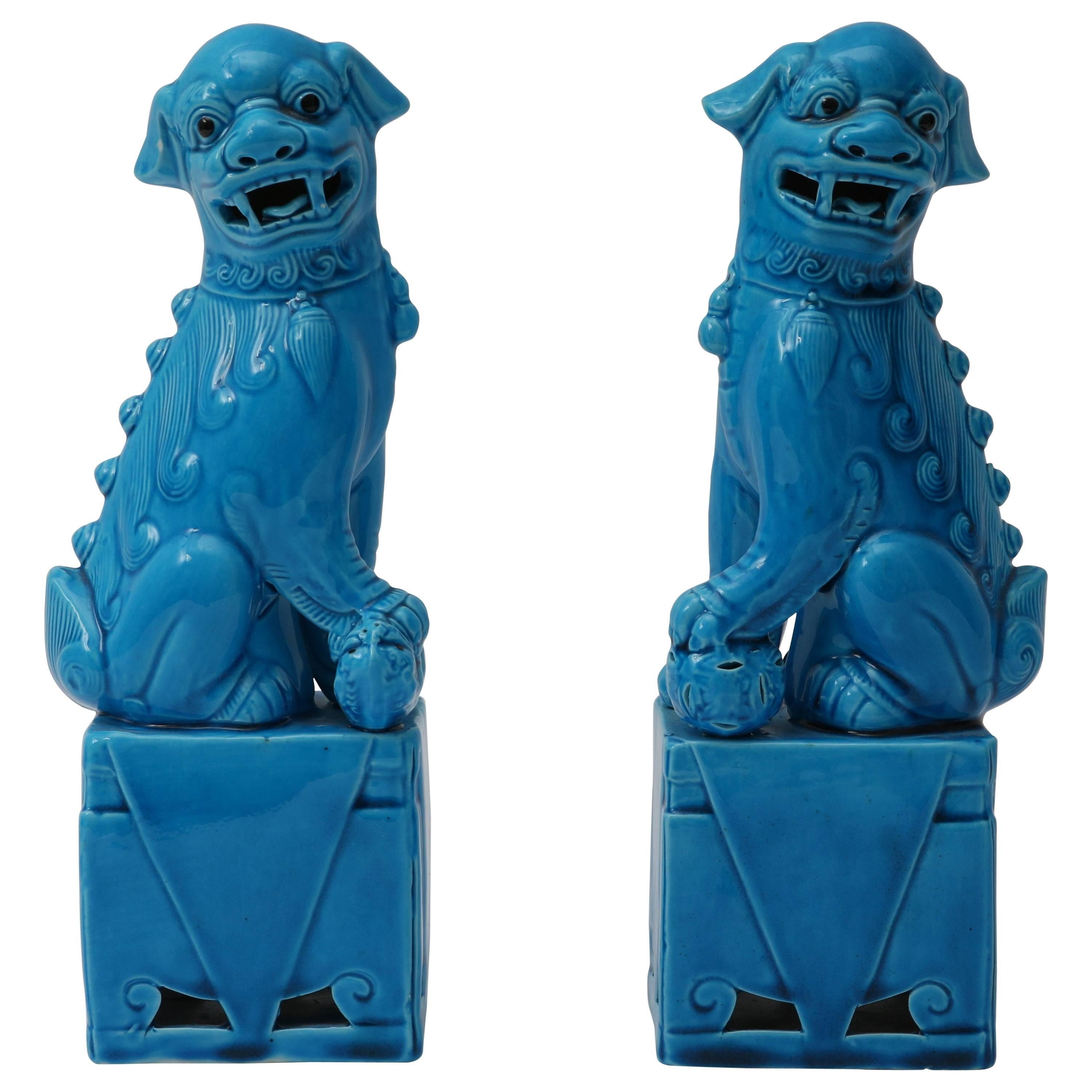 Pair of 1920s Chinese, Glazed Peking Blue Foo Dogs