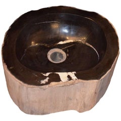 Andrianna Shamaris Petrified Wood Sink