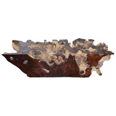 Andrianna Shamaris Organic Teak Wood Root Coffee Table