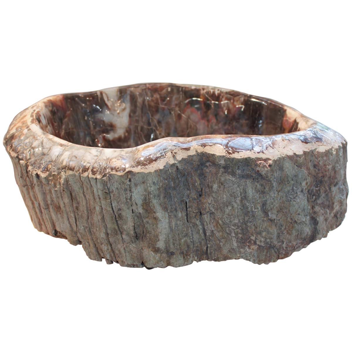 Petrified Wood Bowl from Madagascar For Sale