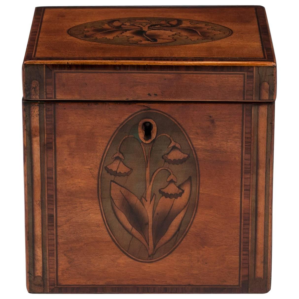 Antique Georgian Satinwood Single Tea Caddy