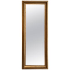 Contemporary Mis En Demeure Mirror with Gold-Plated Frame
