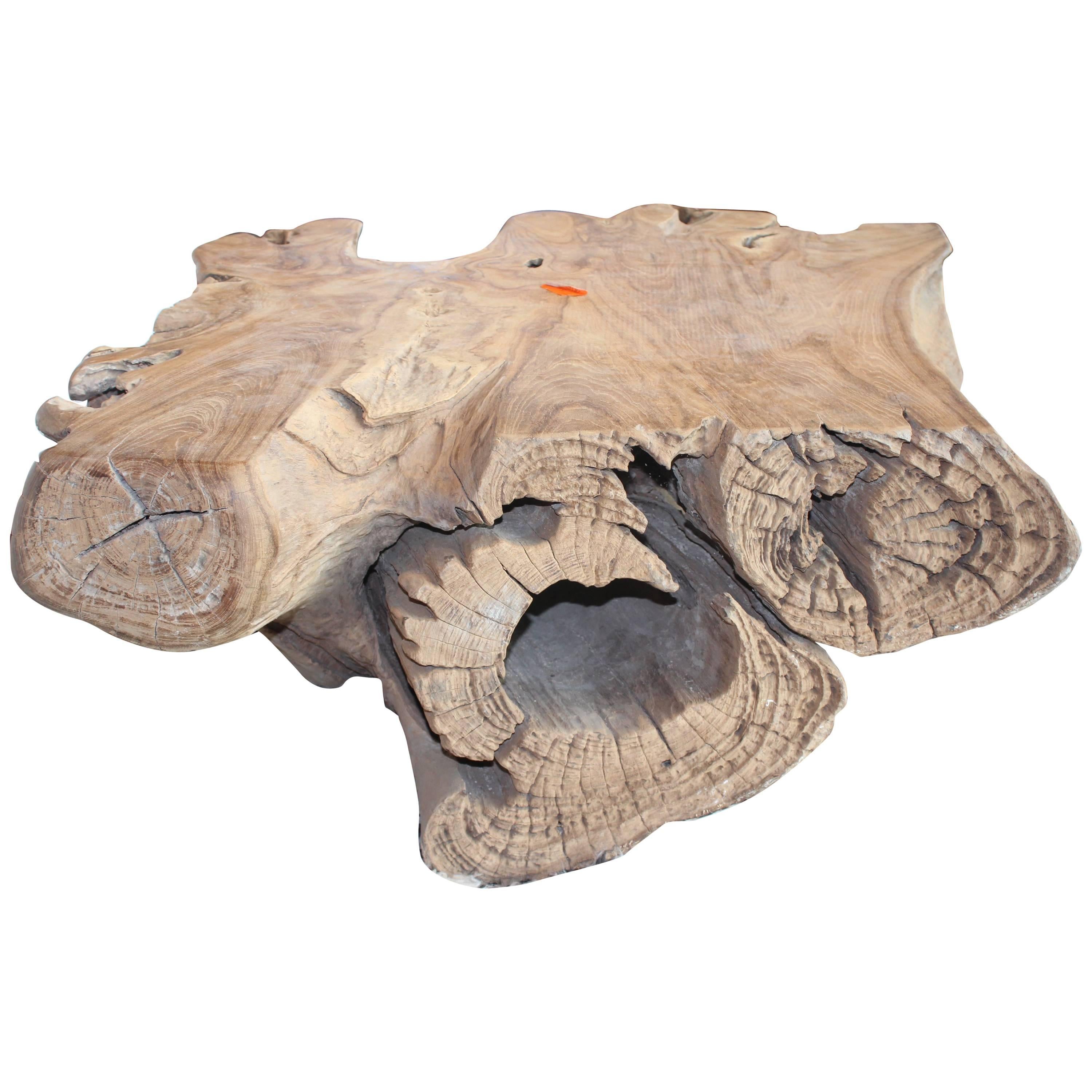 Sculpted Teak Root Wood Coffee Table