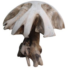 Organic Teak Sculptural Expression as Mushroom
