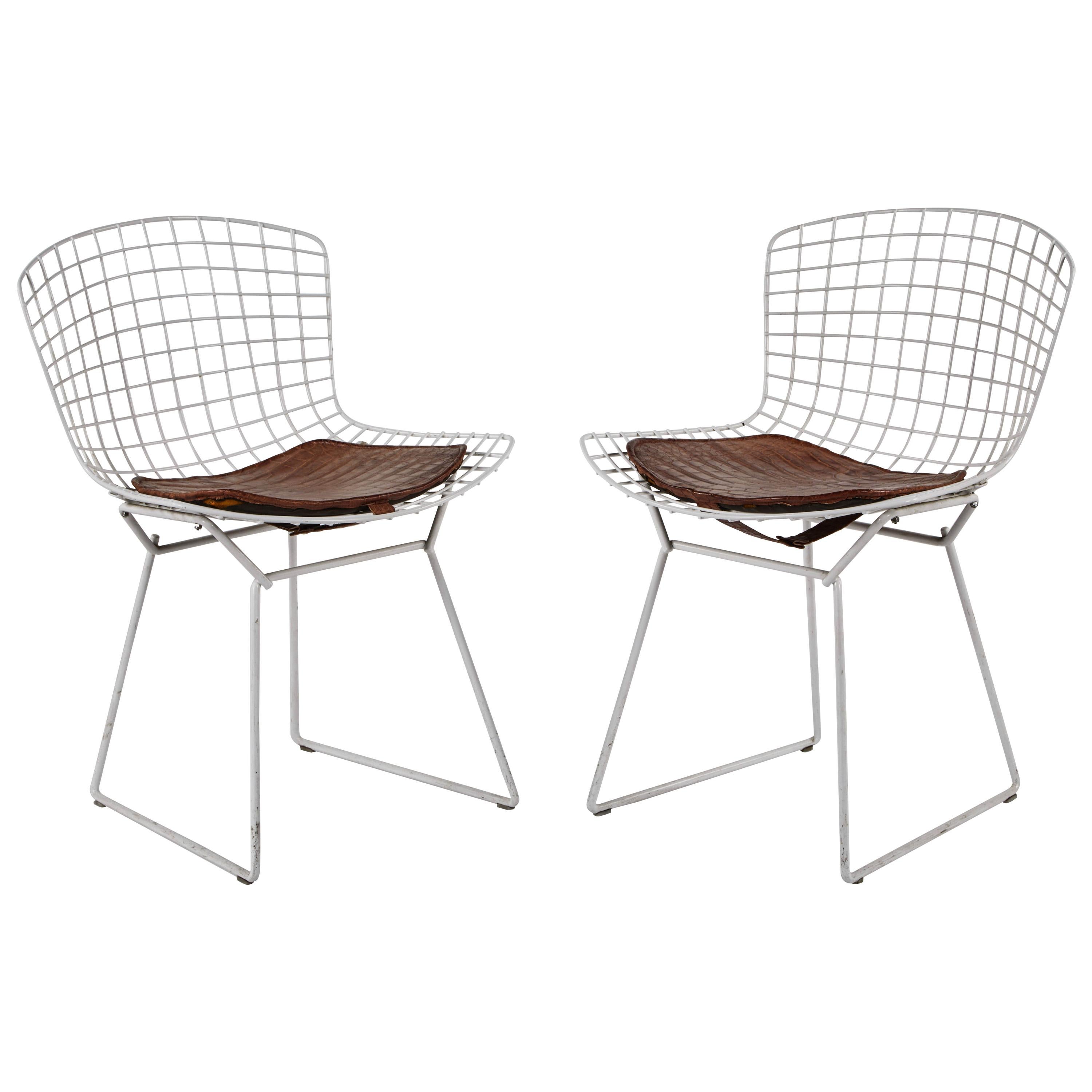 Vieille paire de chaises d'appoint Bertoia blanches avec coussins en alligator