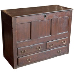 Antique English Georgian Oak Coffer 1