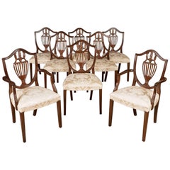 6 from a Set of Eight Dining Chairs – 2 armchairs and best 4
