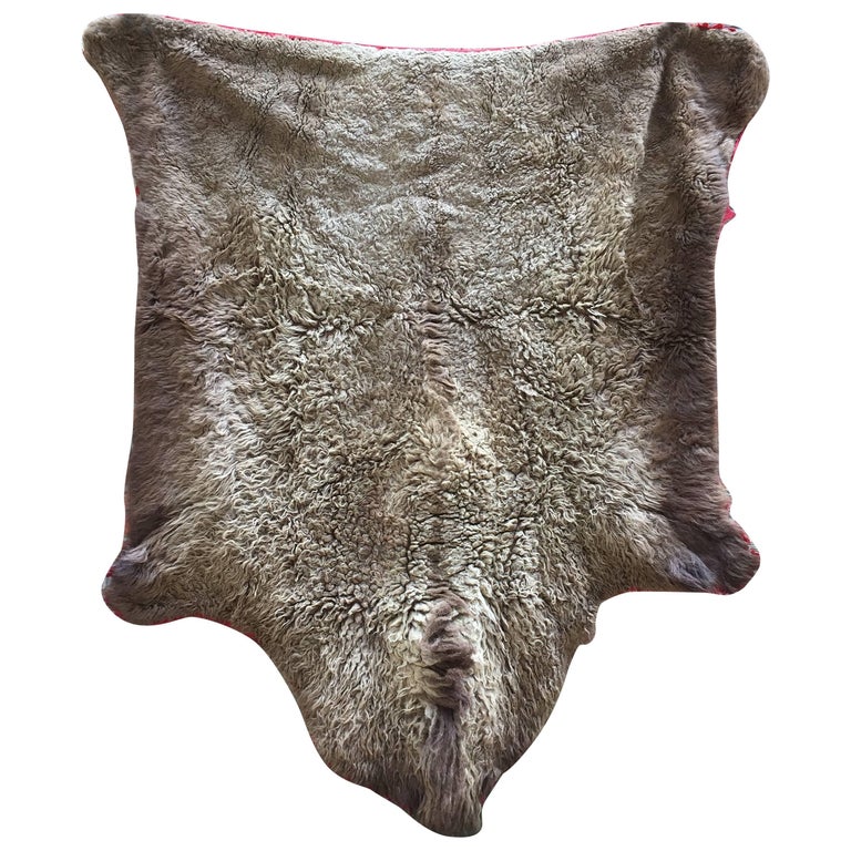 Early 1910s Buffalo Hide Rug For Sale at 1stDibs