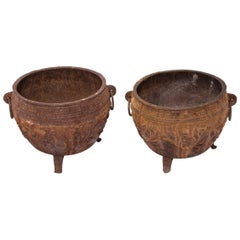 Chinese Cast Iron Lotus Basins 2