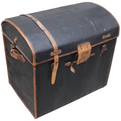 Leather Trunk Moynat