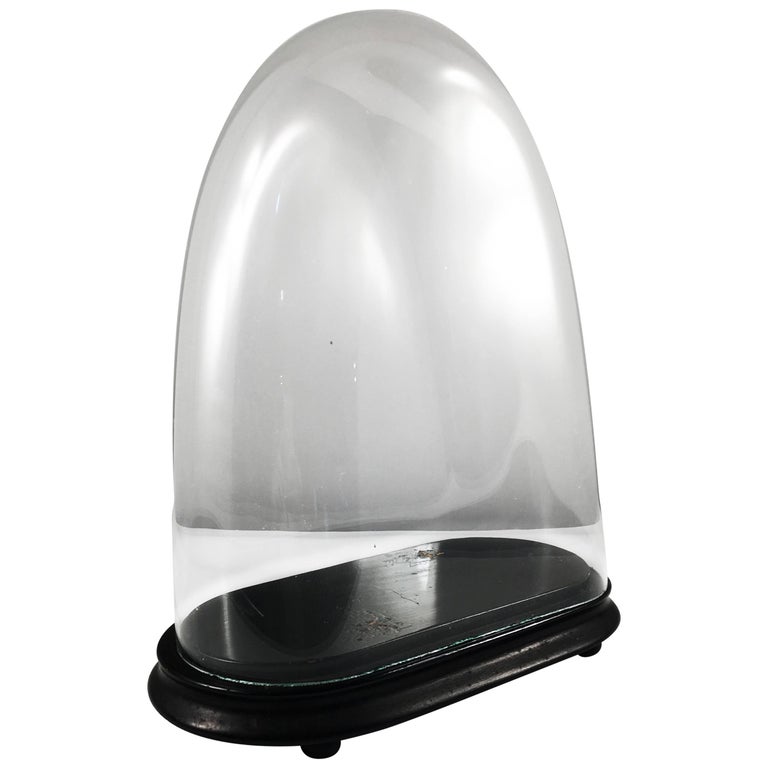 Victorian Era Clock Dome For Sale at 1stdibs