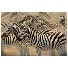 "Unity" Painting of Zebras by Anna Widmer