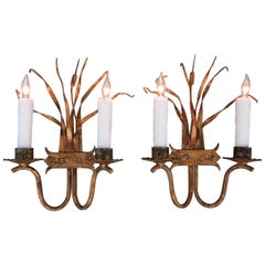 Early 20th Century Italian Gilded Tole Organic Form Sconces with Cattails
