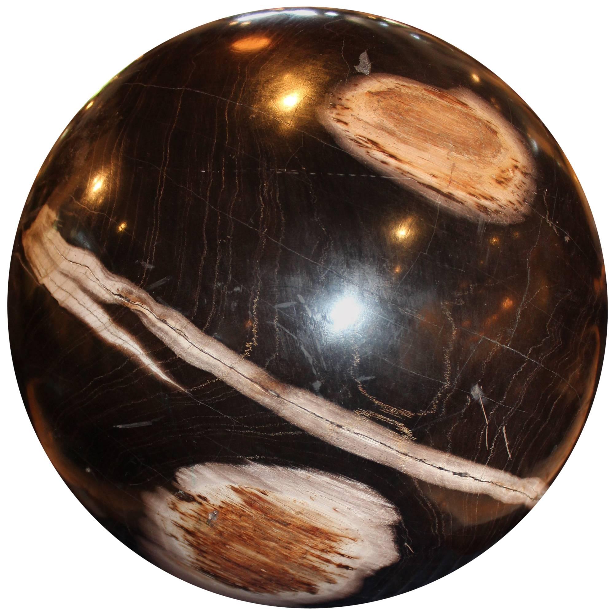 Extra Large Petrified Wood Sphere