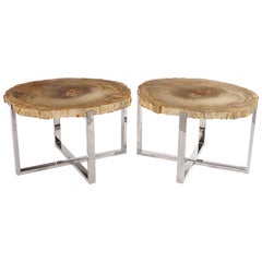 Pair of Petrified Wood Side Tables on Chrome Bases