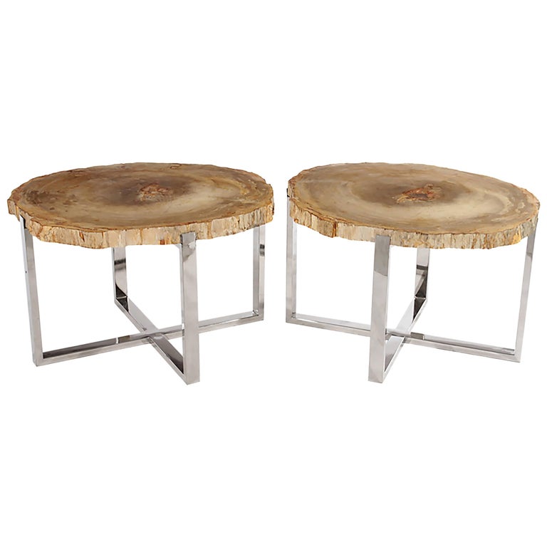 Pair of Petrified Wood Side Tables on Chrome Bases at 1stdibs