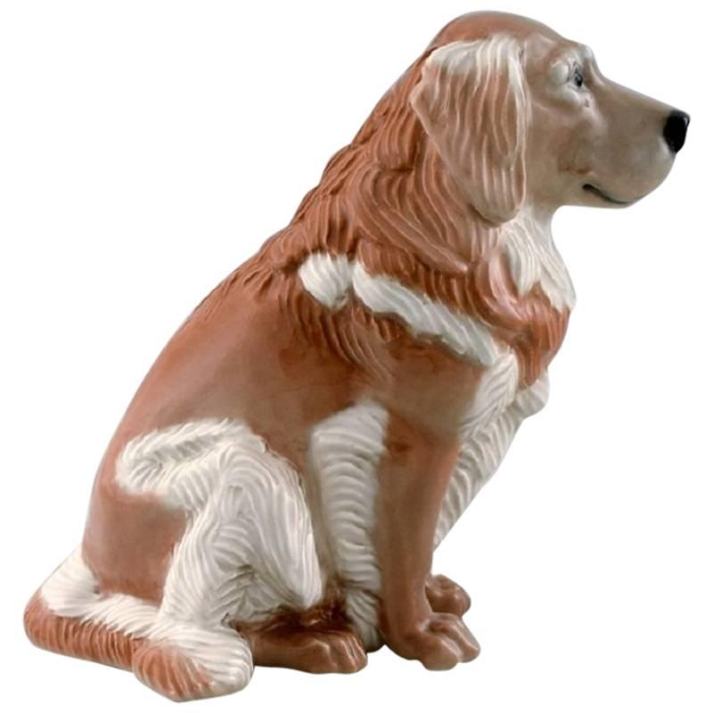 Royal Copenhagen Number 5136, Golden Retriever