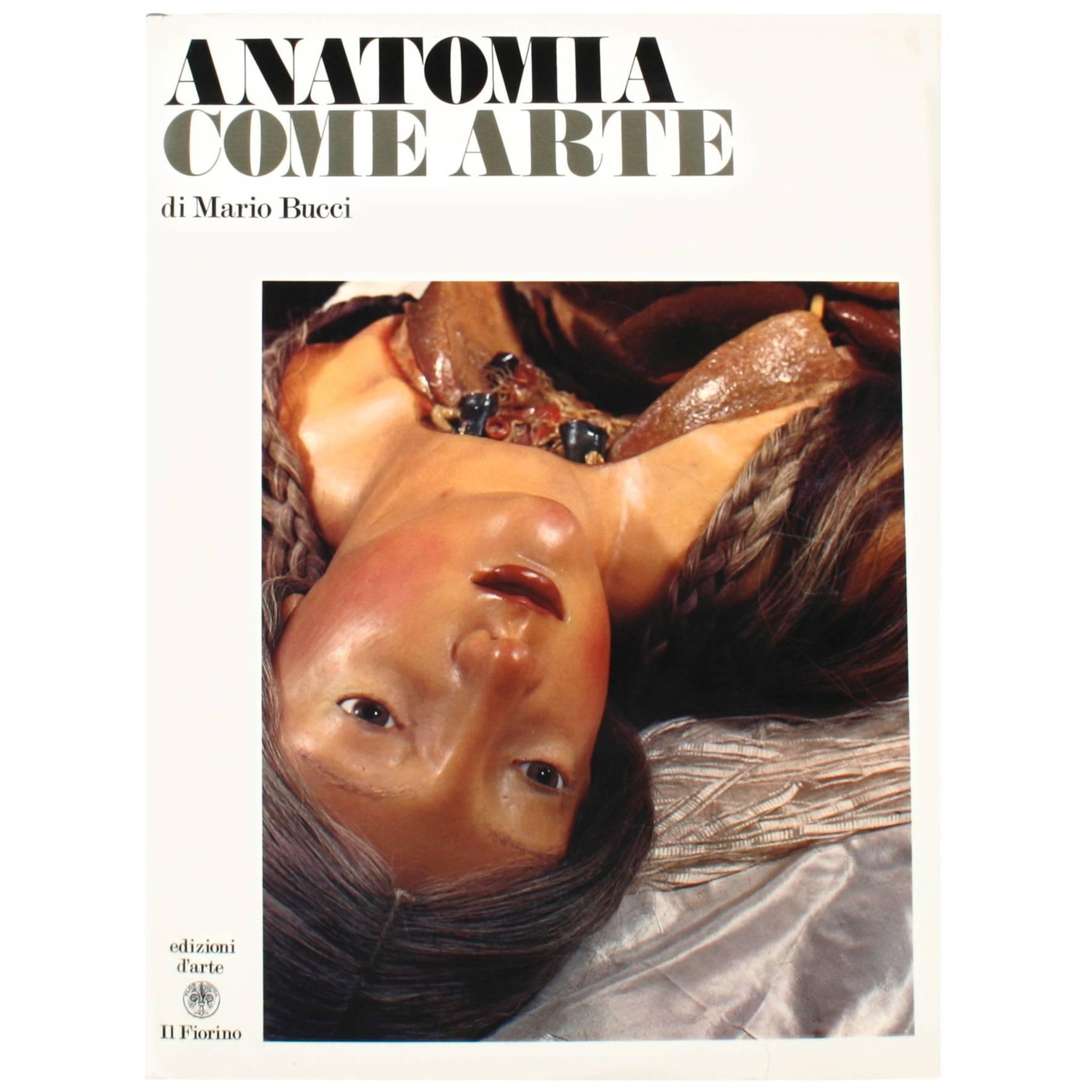 Anatomy as Art by Mario Bucci For Sale