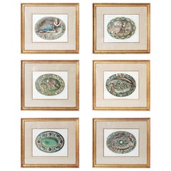 Set of Six Hand-Colored Palissy Ware Lithographs by Rose-Joseph Lemercier